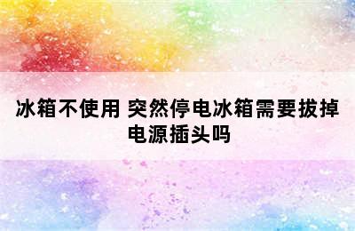 冰箱不使用 突然停电冰箱需要拔掉电源插头吗